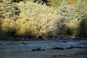 Chilkoot Lake